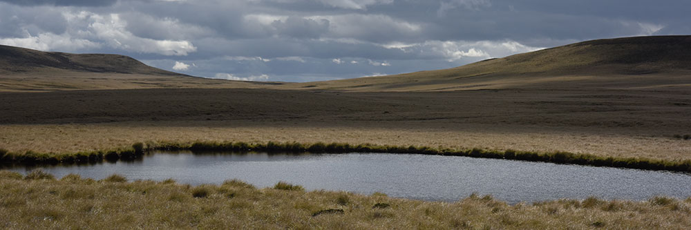 Pond in the camp
